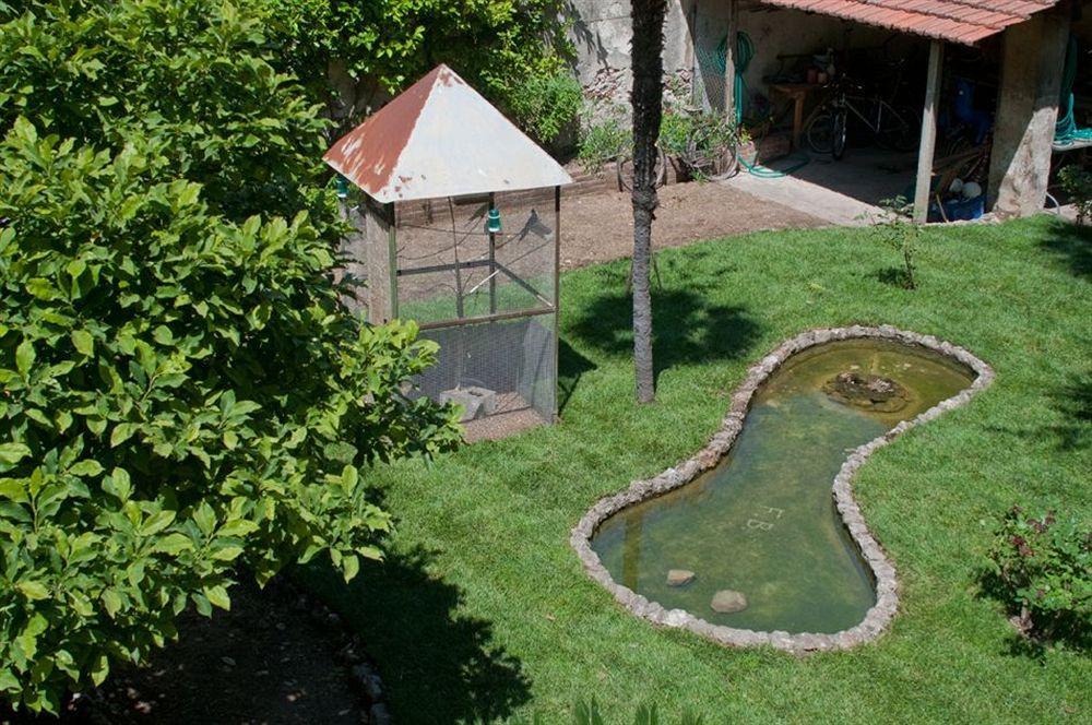 Borgo Largo 51 Bed & Breakfast Пиза Екстериор снимка
